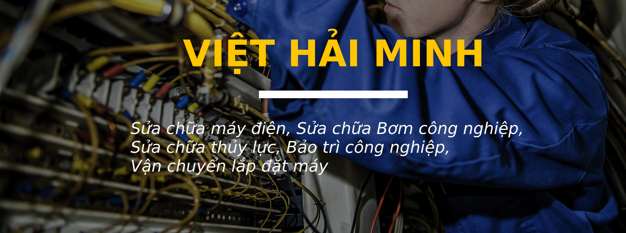Công ty Việt Hải Minh