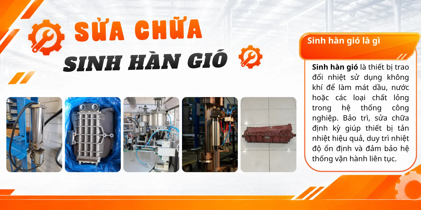 Sinh h&agrave;n gi&oacute;
