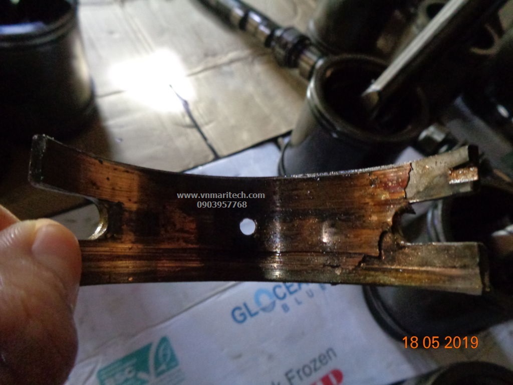 cung cap bac truc bac bien dong co Diesel