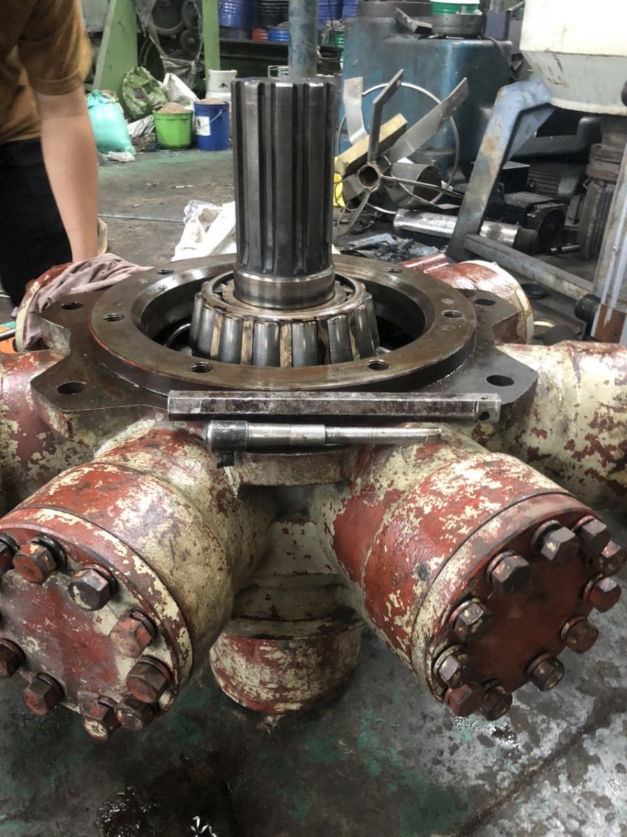 motor 5 sao giá rẻ .jpg