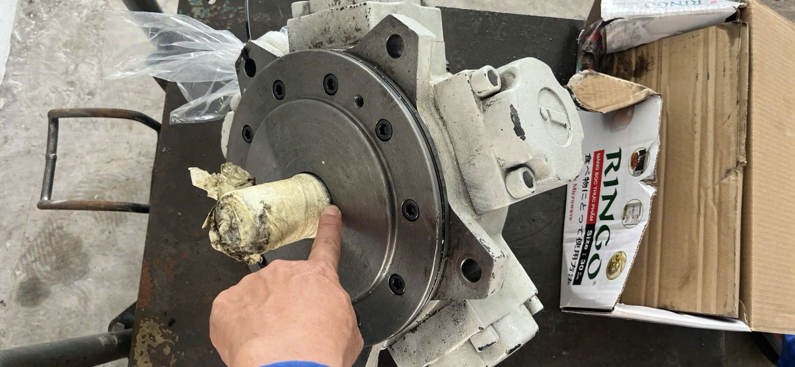 motor 5 sao Trung Quốc Nhật Châu Âu.jpg