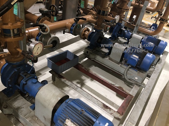 Dịch vụ sửa chữa bơm cấp nước nồi hơi